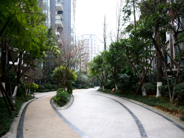 鹭岛国际三期 2室2厅 4800元