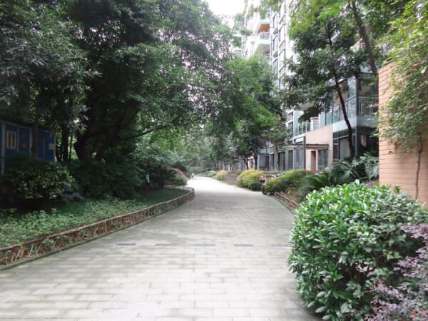 香木林新城 3室2厅 105平米