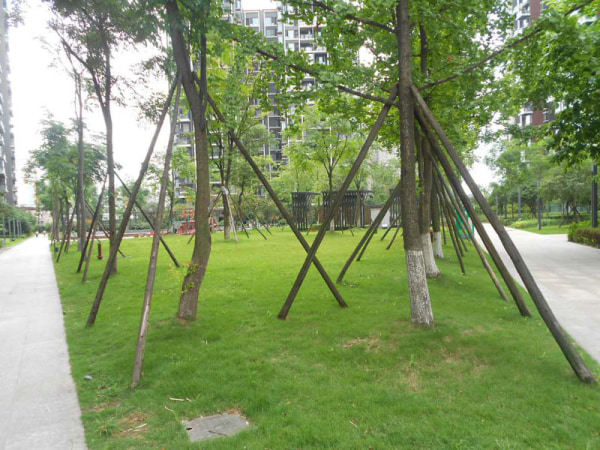 天府五街 地铁一号线 美年广场 朝南看河景