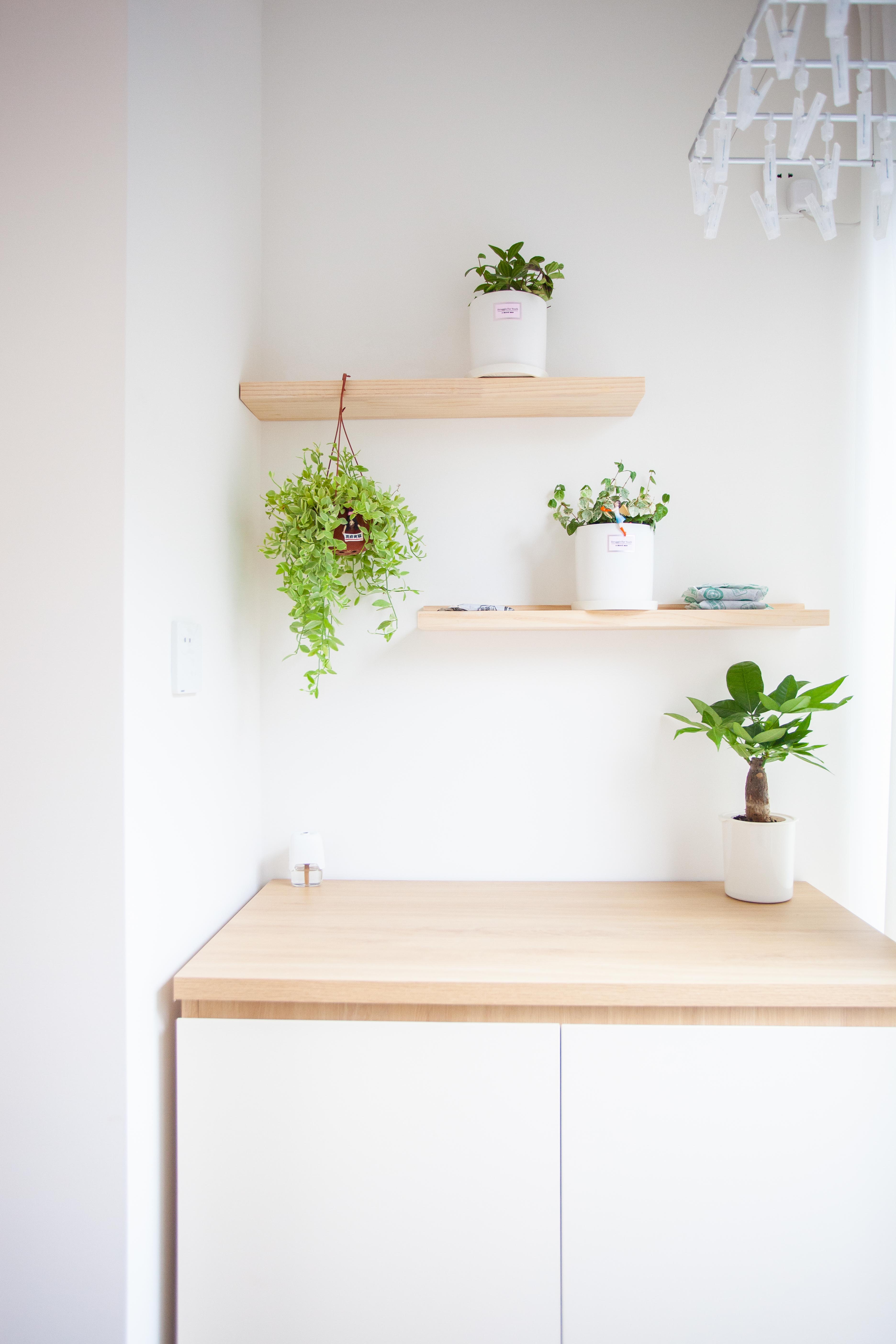 温馨自在的日式小家